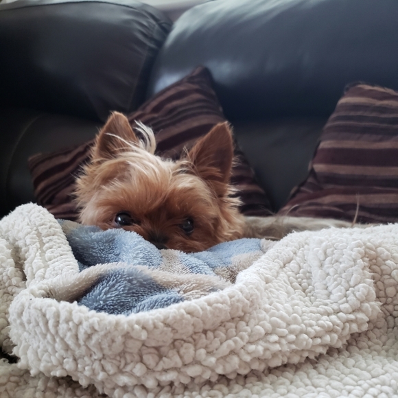 Meet your Posher, Shelly - Picture 13 of 16